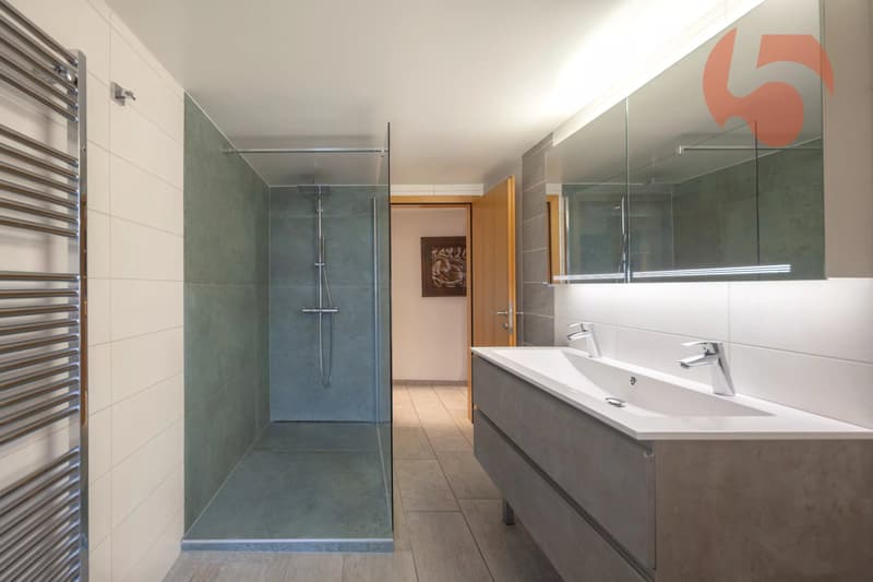 Magnifique maison villageoise entièrement rénovée (9)