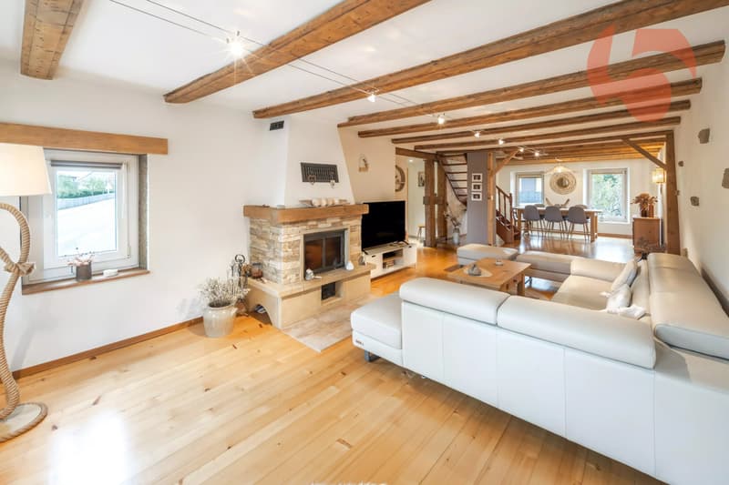 Magnifique maison villageoise entièrement rénovée (5)