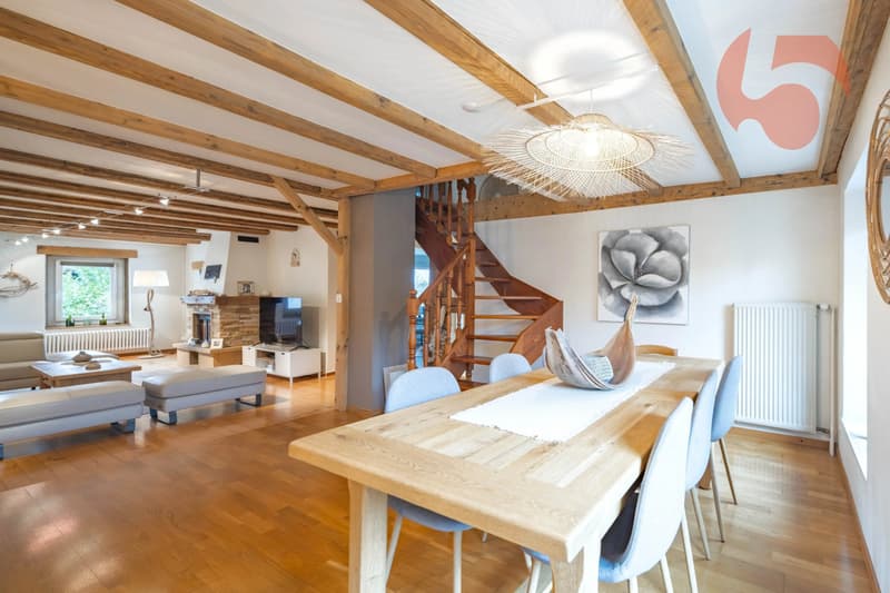 Belle maison villageoise rénovée avec terrasses et jardin (6)