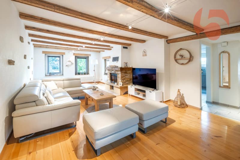 Belle maison villageoise rénovée avec terrasses et jardin (4)