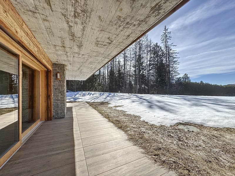 Appartamento in un Chalet Residenziale Minergie Costruito nel 2022 (3)