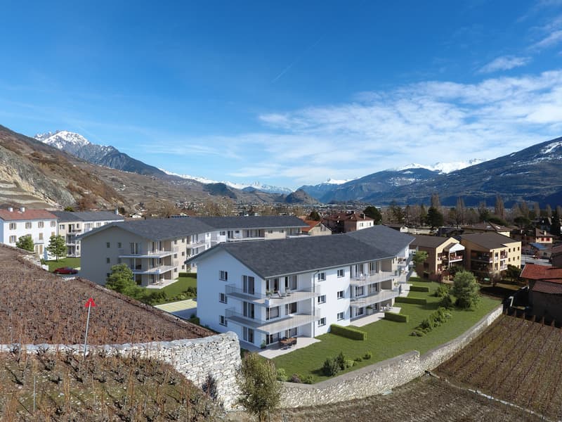 Le Clos des Forges - 3,5 locali con giardino (5)