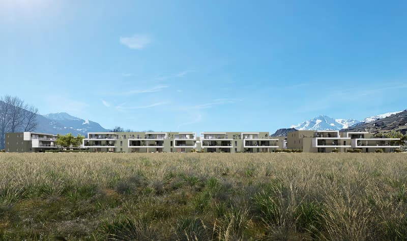 Residenza Alegria - 4,5 locali in attico (9)