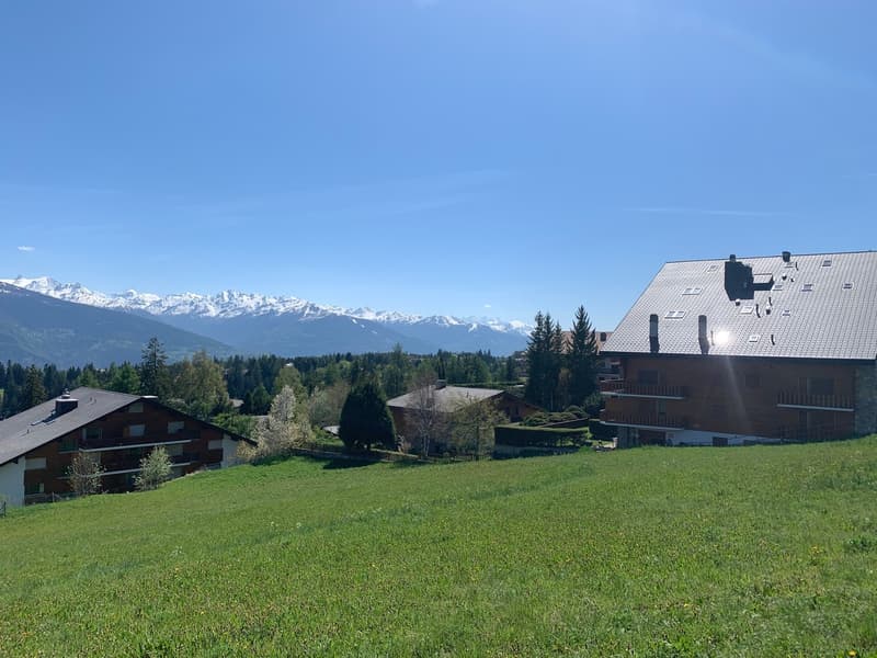 Lot C-46 - 4.5 pièces avec terrasse et jardin (8)