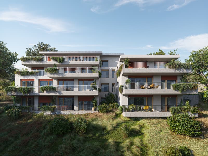 Lot 6 - 3,5 locali nuovo con grande terrazza (1)