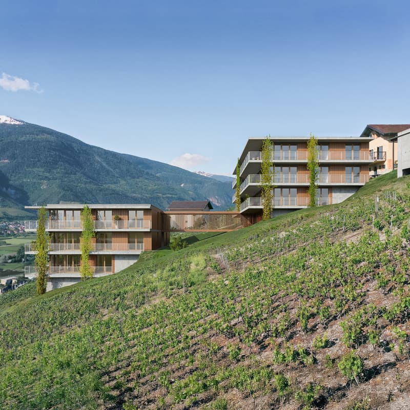 Vue depuis les vignes