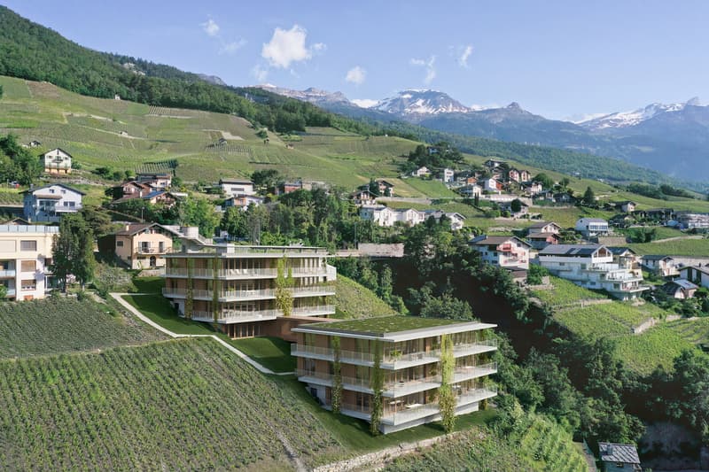Vue aérienne