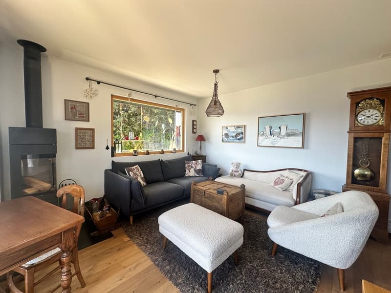 Superbe Appartement Rénové Proche du Centre (4)