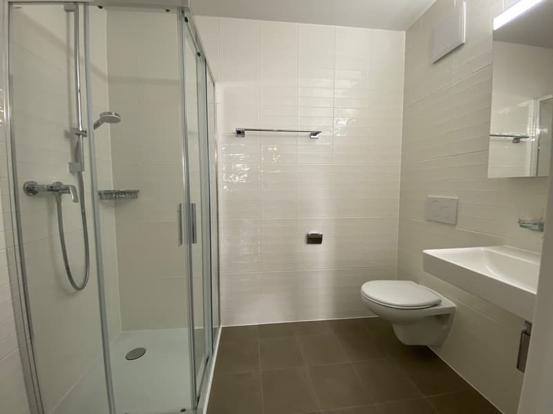 MONTREUX - SPACIOUS 2.5 ROOM APARTMENT LOT 9 (11)
