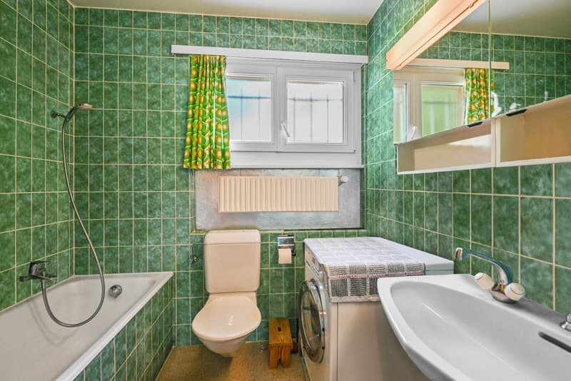 BLONAY - SPACIOUS AND BRIGHT 5.5 ROOM APARTMENT (9)