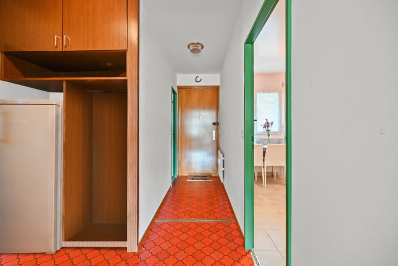 BLONAY - SPACIOUS AND BRIGHT 5.5 ROOM APARTMENT (5)