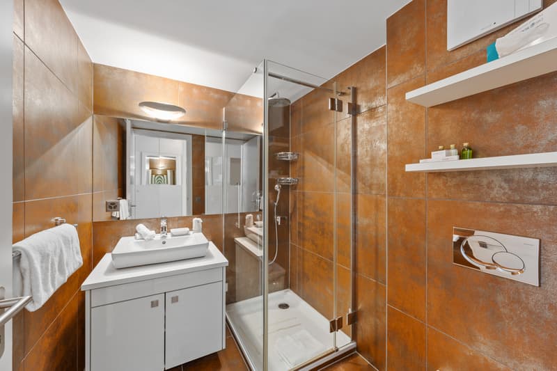 SAILLON - LES BAINS DE SAILLON - APPARTAMENTO 3.5 LOCALI DI ALTO STANDING (6)