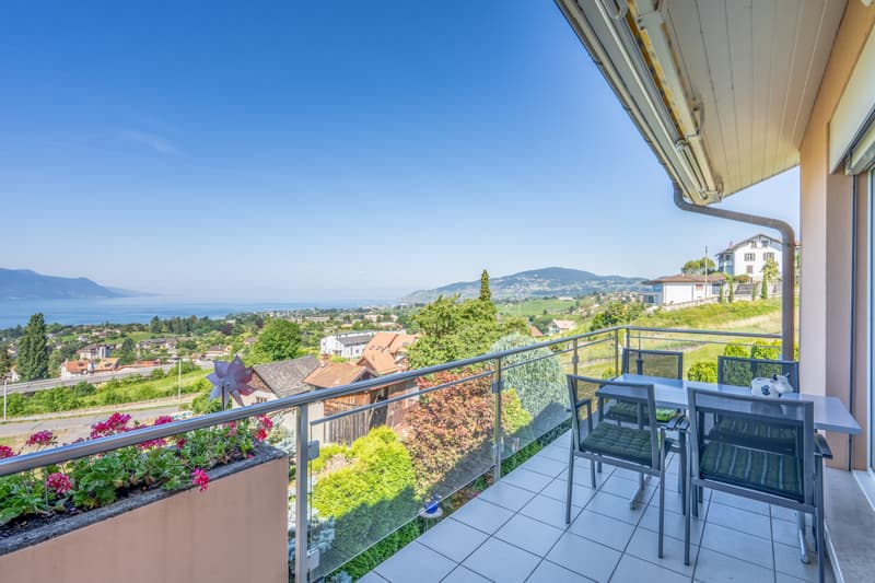MONTREUX - SPACIEUSE VILLA MITOYENNE AVEC VUE PANORAMIQUE (2)