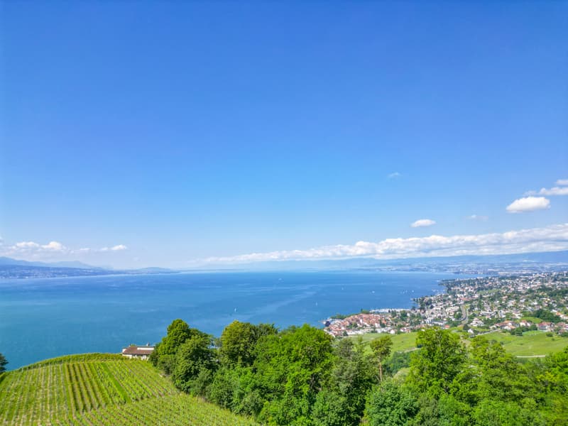 LUTRY - UNICO! VILLA LUSSUOSANEL CUORE DELLE VIGNE (5)