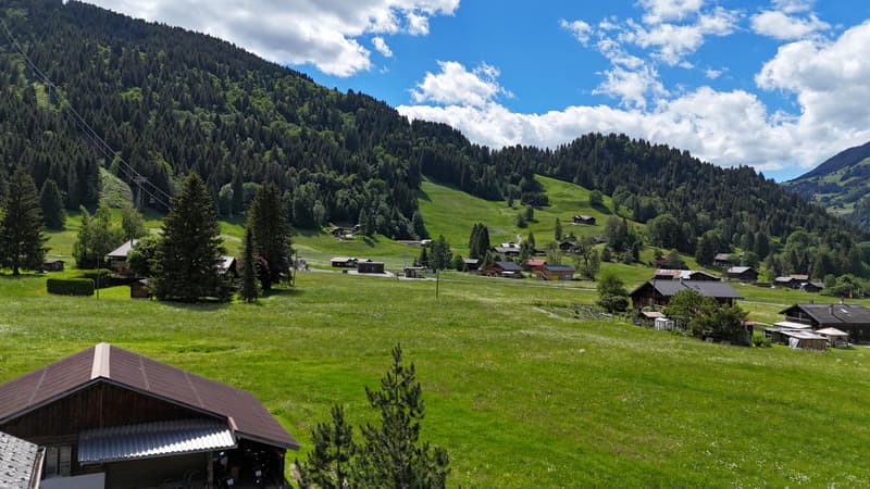 I Diablerets - Accogliente appartamento di 2,5 locali sotto il tetto (13)