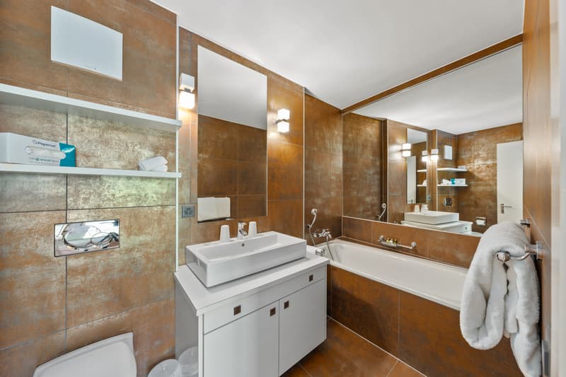 SAILLON - LES BAINS DE SAILLON - APPARTAMENTO 3,5 LOCALI DI ALTO STANDING (10)