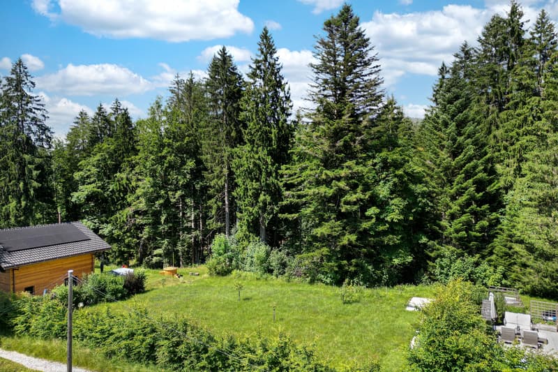 LES PACCOTS - PRÄCHTIGES CHALET MIT 7.5 ZIMMERN (7)