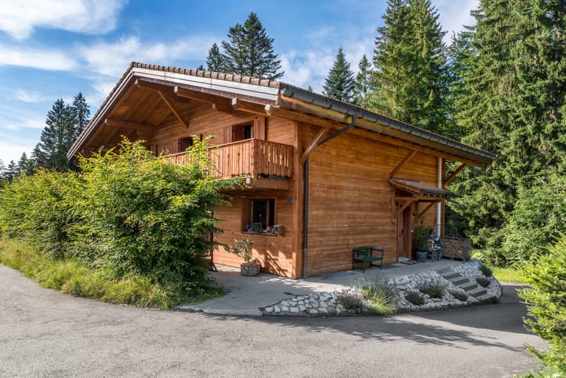 LES PACCOTS - PRÄCHTIGES CHALET MIT 7.5 ZIMMERN (3)
