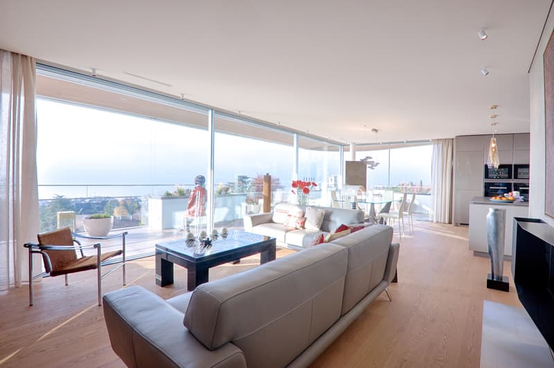 VEVEY - PRÄCHTIGES 4.5-ZIMMER-WOHNUNG MIT BEEINDRUCKENDER AUSSICHT AUF DEN (4)