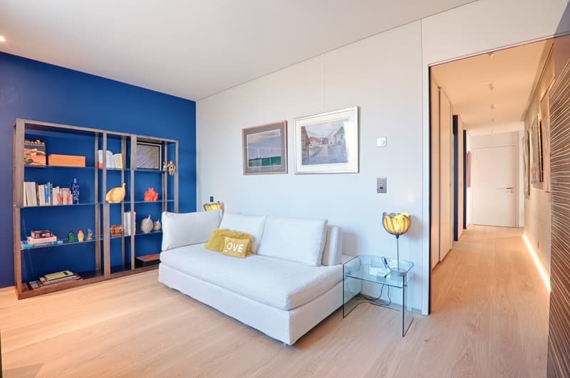 VEVEY - PRÄCHTIGES 4.5-ZIMMER-WOHNUNG MIT BEEINDRUCKENDER AUSSICHT AUF DEN (10)