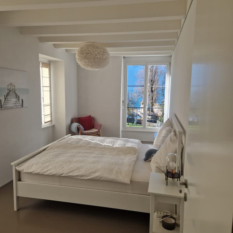 La Tour-de-Peilz - rue du Temple 1 - magnifique villa de 8.5 pièces (2)