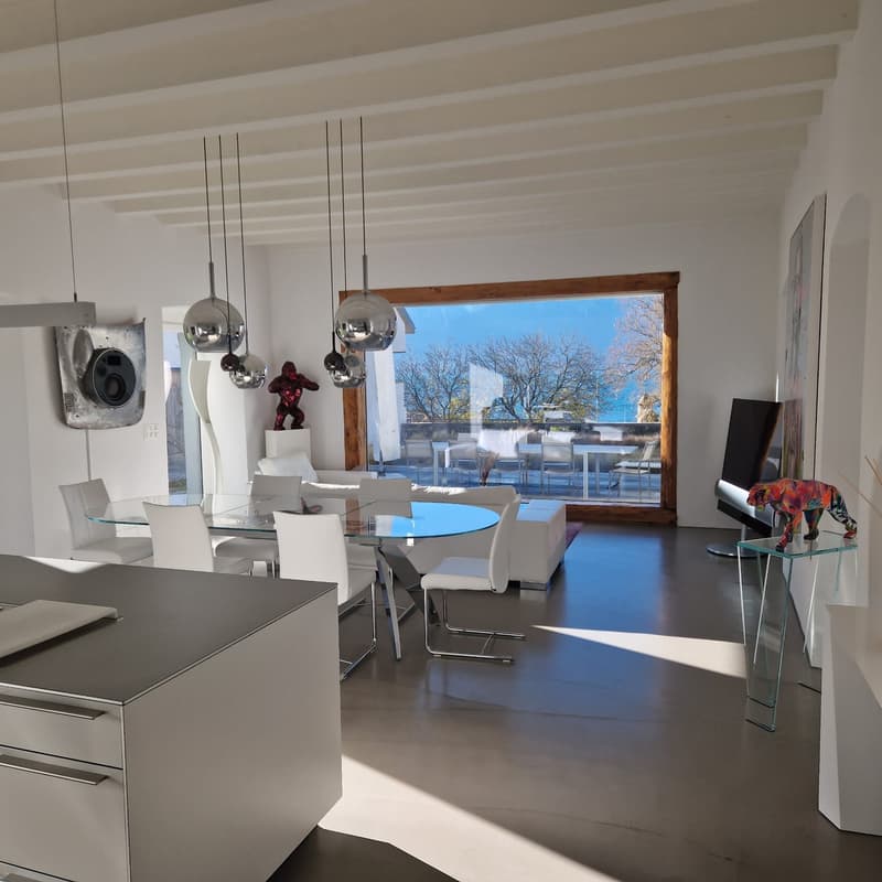 La Tour-de-Peilz - rue du Temple 1 - magnifique villa de 8.5 pièces (1)