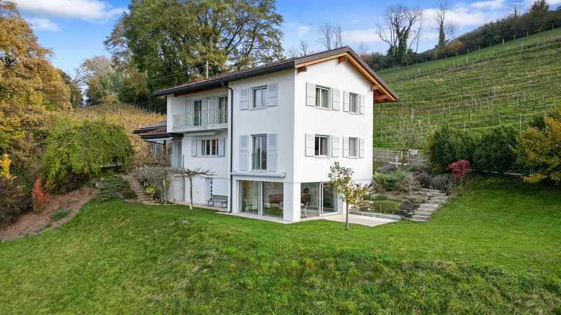 LUTRY - UNIQUE ! SOMPTUEUSE VILLA AU COEUR DES VIGNES (1)