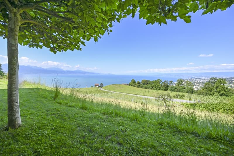 LUTRY - UNIQUE ! SOMPTUEUSE VILLA AU COEUR DES VIGNES (4)
