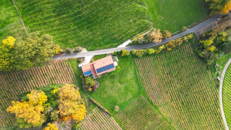 LUTRY - UNIQUE ! SOMPTUEUSE VILLA AU COEUR DES VIGNES (3)