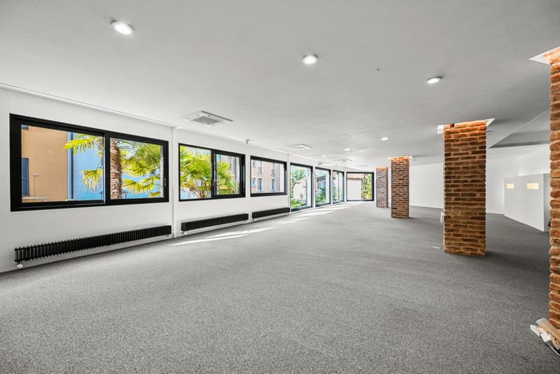 MONTREUX - SURFACE ADMINISTRATIVE DE 300 M2 (1)