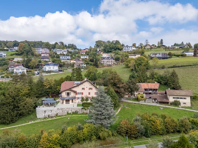 DOMAINE EXCEPTIONNEL AVEC VUE PANORAMIQUE SUR LE LAC (1)