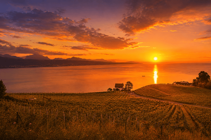 LUTRY - UNIQUE ! SOMPTUEUSE VILLA AU COEUR DES VIGNES (2)