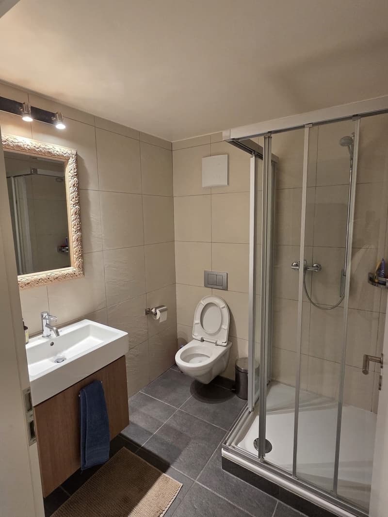 LUTRY - BEL APPARTEMENT DE 4.5 PIÈCES AVEC VUE SUR LE LAC ET LES (7)