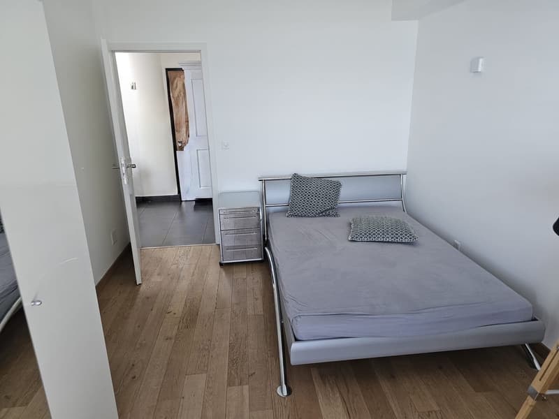 LUTRY - BEL APPARTEMENT DE 4.5 PIÈCES AVEC VUE SUR LE LAC ET LES (3)