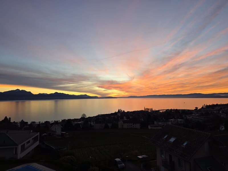 Exceptionnel duplex de 170 m2 - Terrasse avec jacuzzi et vue (1)