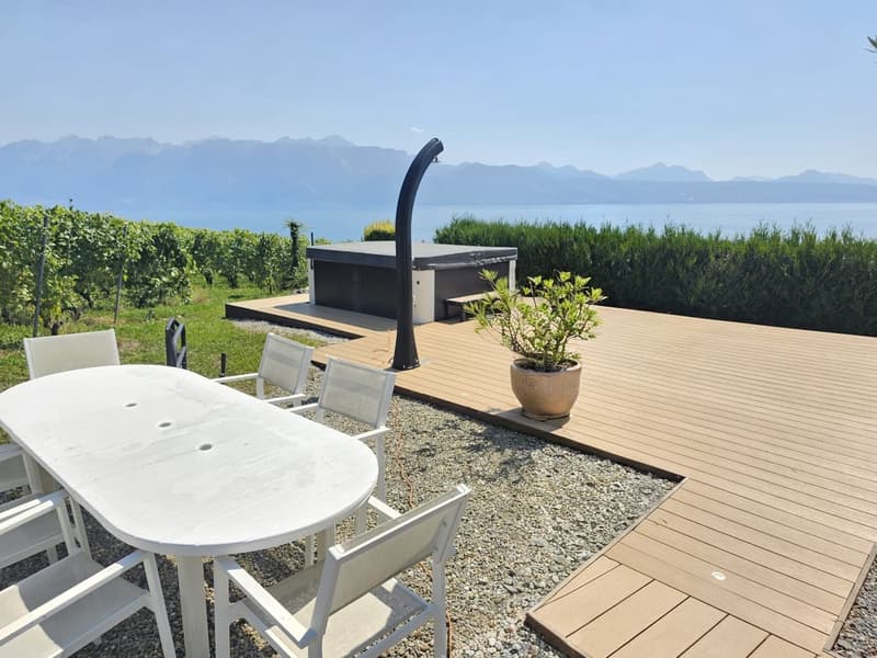 Exceptionnel duplex de 170 m2 - Terrasse avec jacuzzi et vue (7)