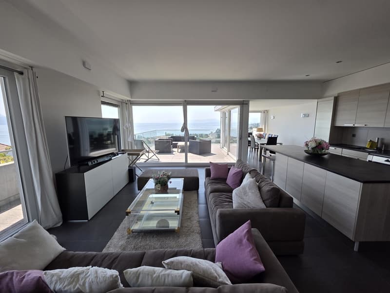 Exceptionnel duplex de 170 m2 - Terrasse avec jacuzzi et vue (2)