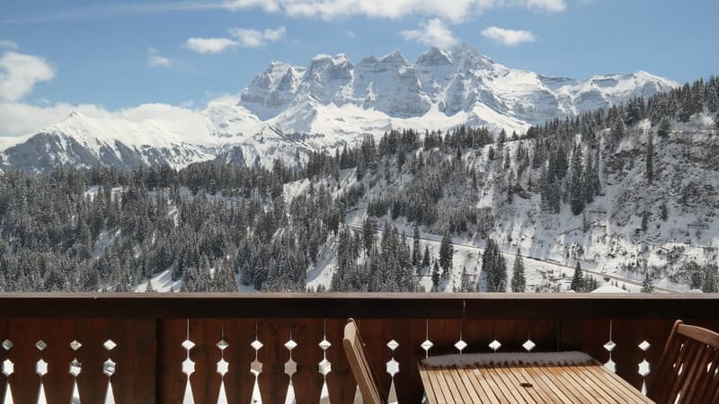 Magnifique appartement à côté des pistes de ski, avec vue imprenable (2)