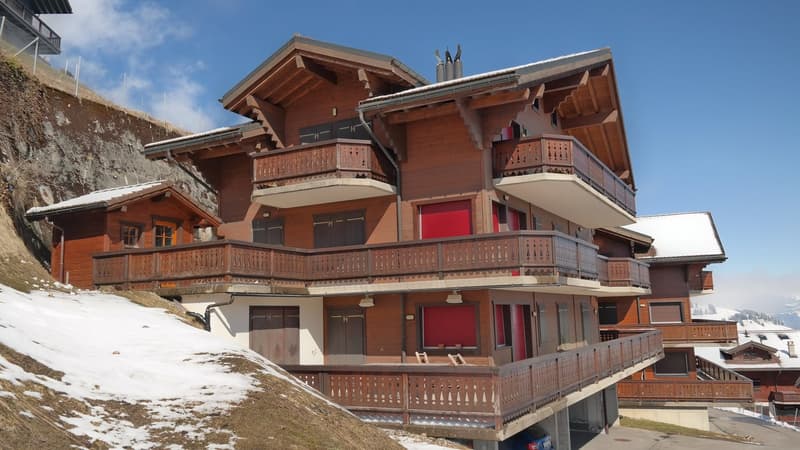 Magnifique appartement à côté des pistes de ski, avec vue imprenable (2)