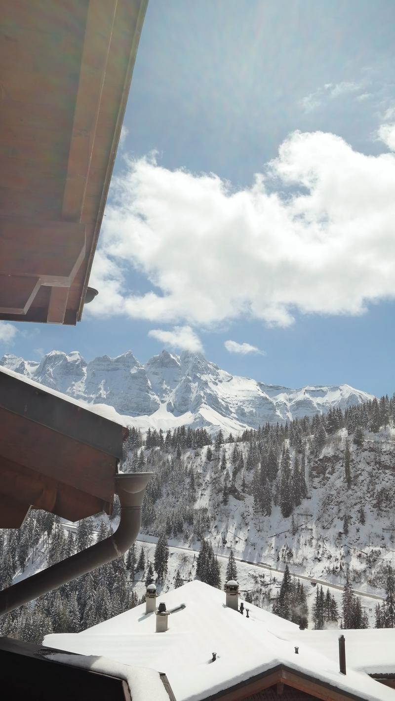 Magnifique appartement à côté des pistes de ski, avec vue imprenable (29)