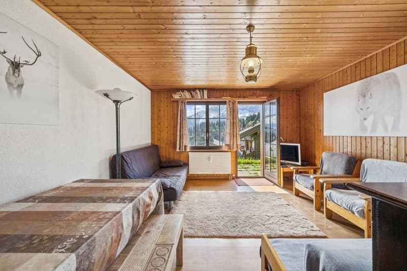 Charmant appartement de 2 pièces avec terrasse et vue sur les montagnes (5)