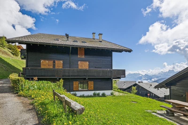 Charmant appartement de 2 pièces avec terrasse et vue sur les montagnes (1)
