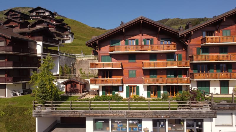 Magnifique appartement de 5.5 pièces – Ambiance chalet au cœur des Alpes (1)