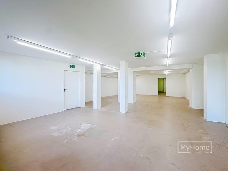 Professional space for rent 250 m2 in the historic center of Orbe (3)
