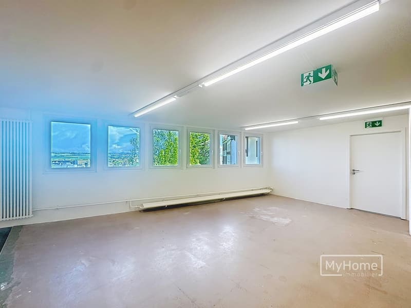Professional space for rent 250 m2 in the historic center of Orbe (5)