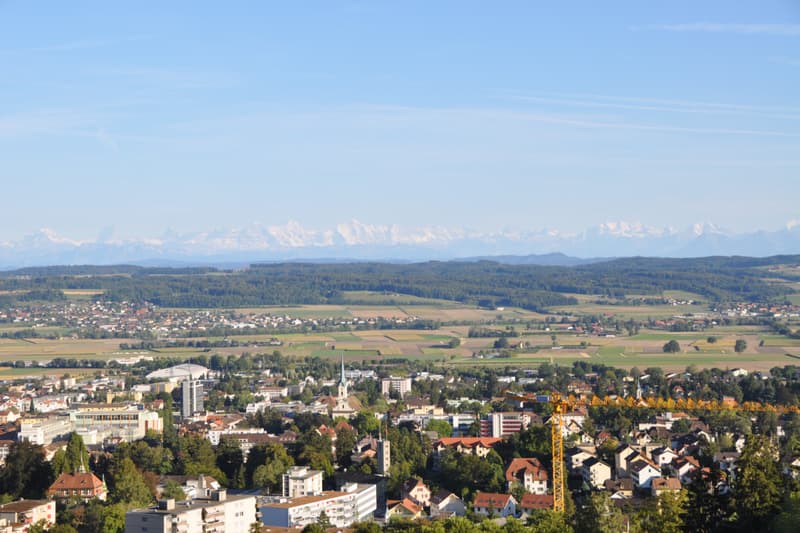 Exklusives Einfamilienhaus mit Wellness-Oase und Alpen-Panoramablick (1)