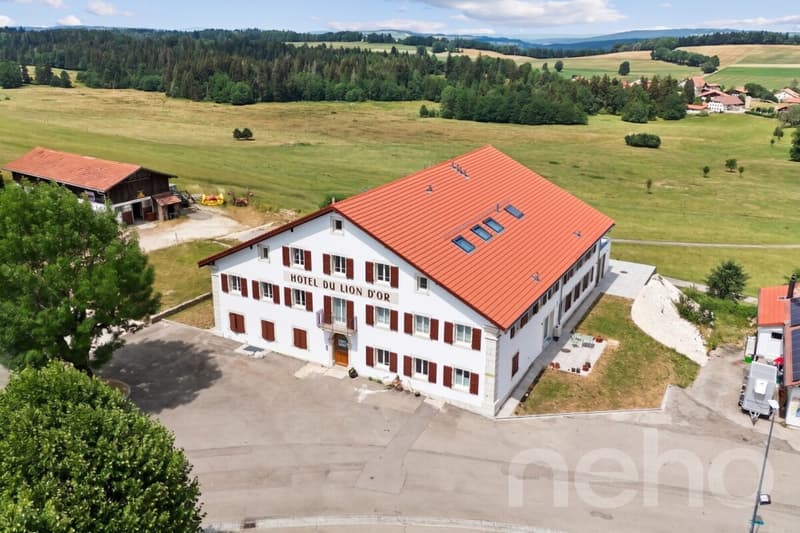 Superbe appartement de 3.5p orienté sud-ouest dans bâtiment historique (10)