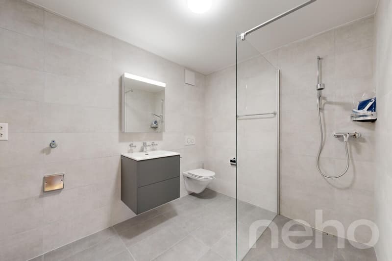 Superbe appartement de 3.5p orienté sud-ouest dans bâtiment historique (10)