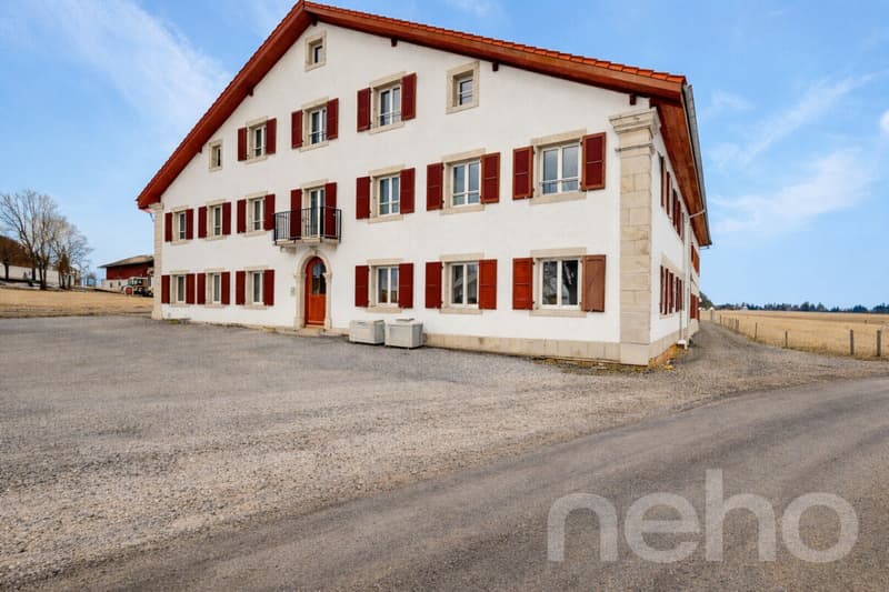 Superbe appartement de 3.5p orienté sud-ouest dans bâtiment historique (12)