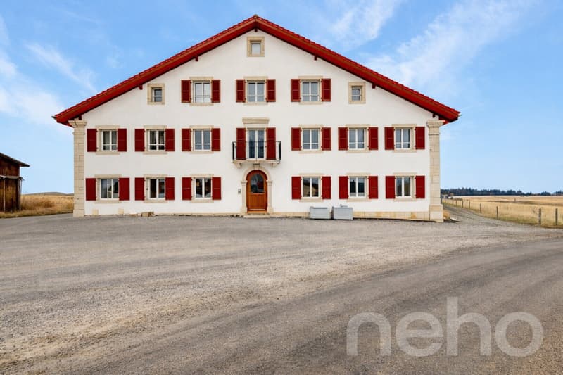Superbe appartement de 3.5p orienté sud-ouest dans bâtiment historique (3)